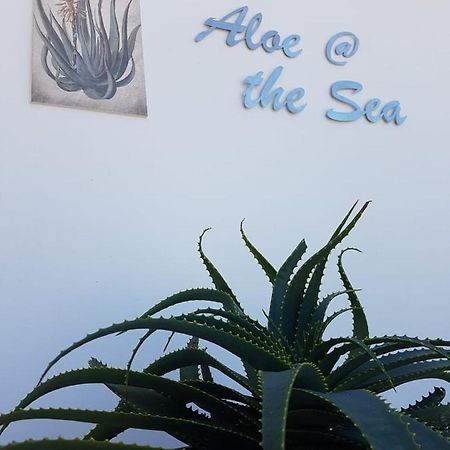 شقة Aloe @ The Sea موسيلباي المظهر الخارجي الصورة