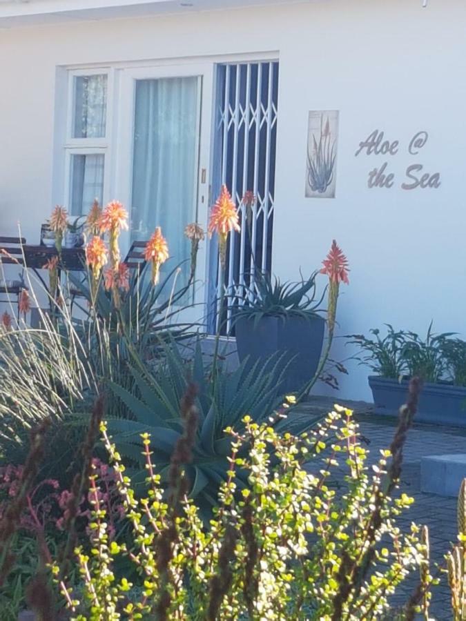 شقة Aloe @ The Sea موسيلباي المظهر الخارجي الصورة