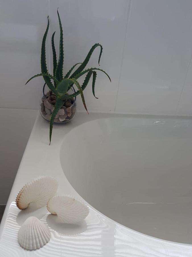 شقة Aloe @ The Sea موسيلباي المظهر الخارجي الصورة
