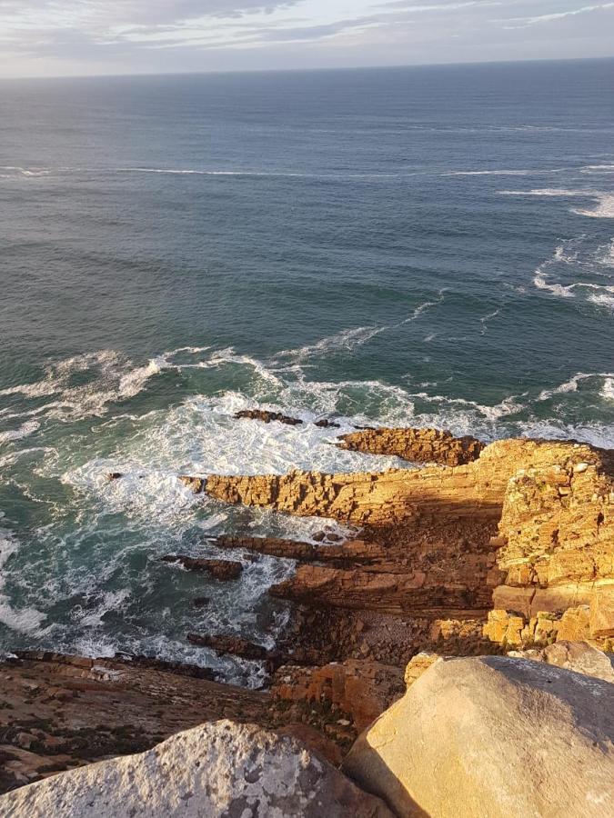 شقة Aloe @ The Sea موسيلباي المظهر الخارجي الصورة